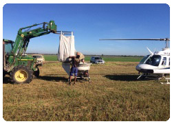 Helicopter seed and fertiliser spreader